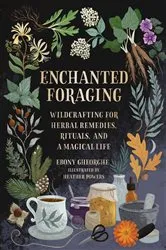 Book cover of Enchanted Foraging by Ebony Gheorghe