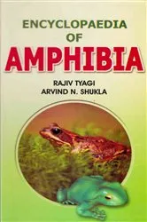 Book cover of Encyclopaedia of Amphibia (Amphibian Sex Organs) by Rajiv Tyagi