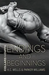 Book cover of Endings and Beginnings by Nora Roberts