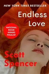 Book cover of Endless Love by Scott Spencer
