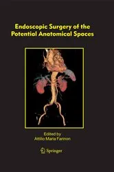 Book cover of Endoscopic Surgery of the Potential Anatomical Spaces by F. Rulli