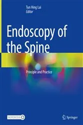 Book cover of Endoscopy of the Spine by Tun Hing Lui