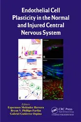 Book cover of Endothelial Cell Plasticity in the Normal and Injured Central Nervous System by Esperanza Meléndez Herrera
