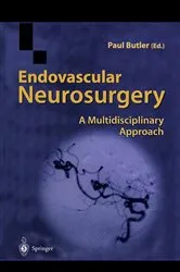 Book cover of Endovascular Neurosurgery by Paul Butler