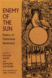 Book cover of Enemy of the Sun by Naseer Aruri
