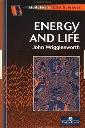 Book cover of Energy And Life by John Wrigglesworth