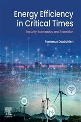 Book cover of Energy Efficiency in Critical Times by Romanus Osabohien