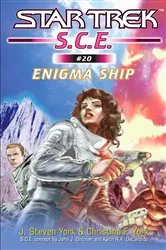 Book cover of Enigma Ship by J. Steven York