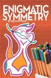 Book cover of Enigmatic Symmetry by N Word