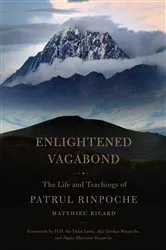 Book cover of Enlightened Vagabond by Matthieu Ricard