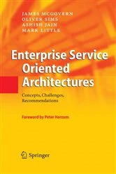 Book cover of Enterprise Service Oriented Architectures by James McGovern