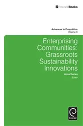 Book cover of Enterprising Communities by Anna Davies