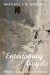 Book cover of Entertaining Angels by Anne Neilson
