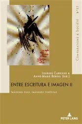 Book cover of Entre escritura e imagen II by Lourdes Carriedo Lopez