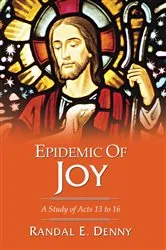 Book cover of Epidemic of Joy by Randal Earl Denny