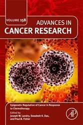Book cover of Epigenetic Regulation of Cancer in Response to Chemotherapy by Joseph Landry