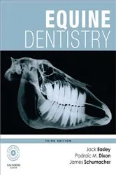 Book cover of Equine Dentistry - E-Book (3rd ed.) by Easley DVM, MS, DABVP (Equine), Jack