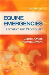 Book cover of Equine Emergencies E-Book (3rd ed.) by Orsini B.S., D.V.M., Dipl. ACVS, James A.