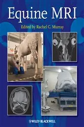 Book cover of Equine MRI by Unknown