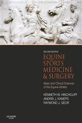 Book cover of Equine Sports Medicine and Surgery E-Book (2nd ed.) by Hinchcliff BVSc, MS, PhD, DACVIM (Large Animal), Kenneth W