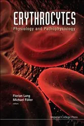 Book cover of Erythrocytes: Physiology And Pathophysiology by Florian Lang