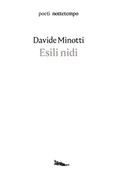Book cover of Esili nidi by Davide Minotti