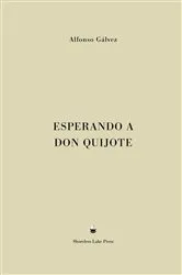 Book cover of Esperando a Don Quijote by Alfonso Gálvez