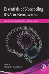 Book cover of Essentials of Noncoding RNA in Neuroscience by Davide De Pietri Tonelli