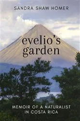 Book cover of Evelio's Garden by Sandra Homer