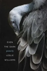 Book cover of Even the Dark by Leslie Williams