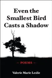 Book cover of Even the Smallest Bird Casts a Shadow by Valerie Marie Leslie