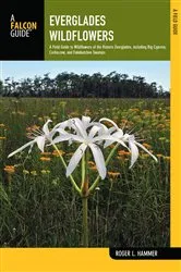 Book cover of Everglades Wildflowers (2nd ed.) by Roger L. Hammer
