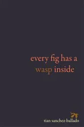 Book cover of Every Fig Has a Wasp Inside by Tian Sanchez-Ballado