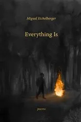 Book cover of Everything Is by Miguel Eichelberger
