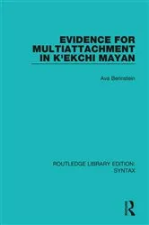 Book cover of Evidence for Multiattachment in K'ekchi Mayan by Ava Berinstein