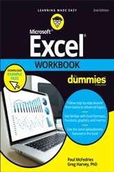 Book cover of Excel Workbook For Dummies (2nd ed.) by Paul McFedries