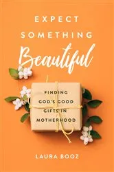 Book cover of Expect Something Beautiful by Laura Booz
