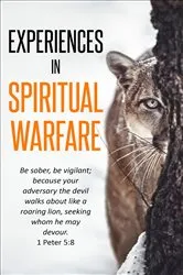 Book cover of Experiences In Spiritual Warfare by Ryde, J, S