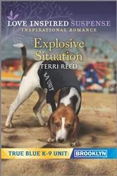 Book cover of Explosive Situation by Terri Reed