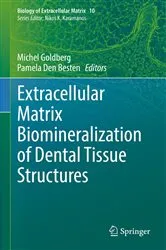 Book cover of Extracellular Matrix Biomineralization of Dental Tissue Structures by Michel Goldberg