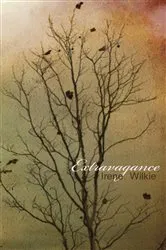 Book cover of Extravagance by Irene Wilkie