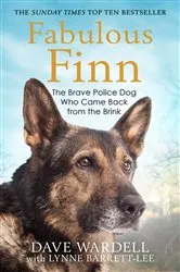 Book cover of Fabulous Finn by Dave Wardell