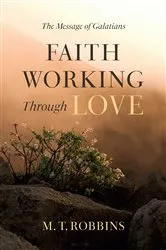 Book cover of Faith Working Through Love by M. T. Robbins