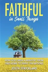 Book cover of Faithful in Small Things by Joeth Strickland
