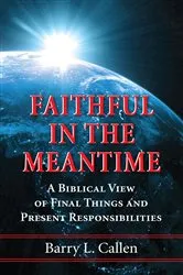 Book cover of Faithful in the Meantime by Barry L. Callen