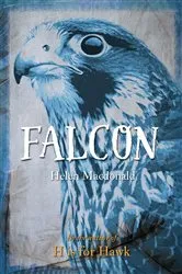 Book cover of Falcon by Tim Jessell
