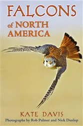 Book cover of Falcons of North America by Kate Davis