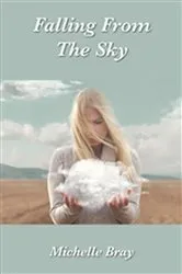 Book cover of Falling From the Sky by Michelle Bray