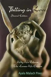 Book cover of Falling in Love (2nd ed.) by Ayala Pines