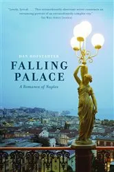 Book cover of Falling Palace by Dan Hofstadter